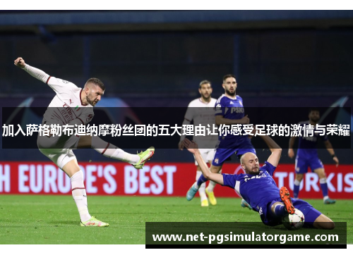 加入萨格勒布迪纳摩粉丝团的五大理由让你感受足球的激情与荣耀