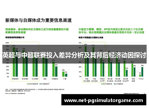 英超与中超联赛投入差异分析及其背后经济动因探讨