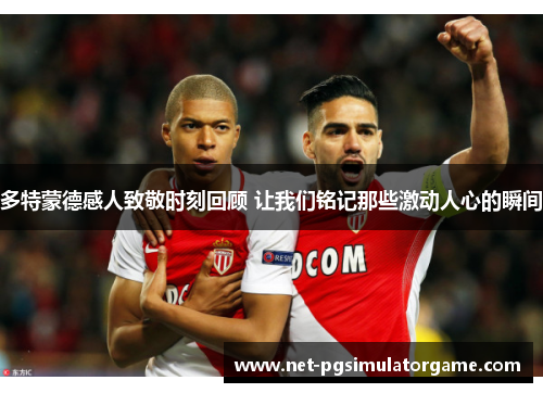多特蒙德感人致敬时刻回顾 让我们铭记那些激动人心的瞬间