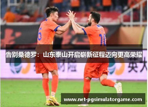 告别桑德罗:山东泰山开启崭新征程迈向更高荣耀 告别桑德罗:山东泰山开启崭新征程迈向更高荣耀