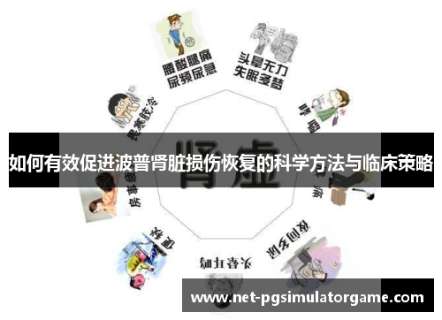 如何有效促进波普肾脏损伤恢复的科学方法与临床策略