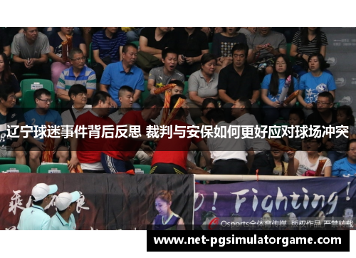 辽宁球迷事件背后反思 裁判与安保如何更好应对球场冲突