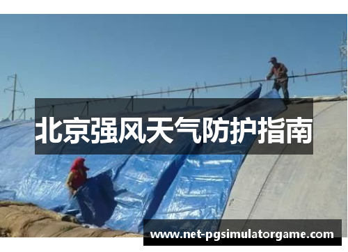 北京强风天气防护指南