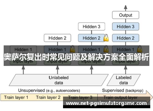 奥萨尔复出时常见问题及解决方案全面解析