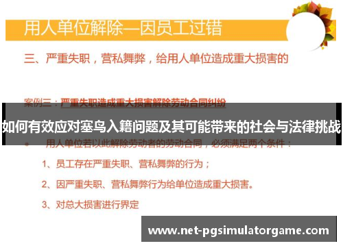 如何有效应对塞鸟入籍问题及其可能带来的社会与法律挑战