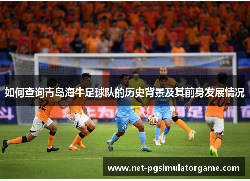 如何查询青岛海牛足球队的历史背景及其前身发展情况