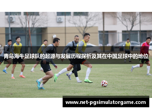 青岛海牛足球队的起源与发展历程探析及其在中国足球中的地位