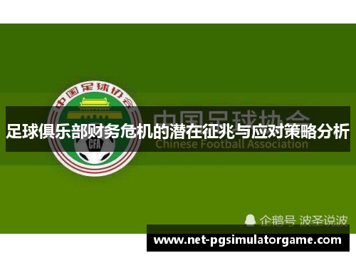 足球俱乐部财务危机的潜在征兆与应对策略分析